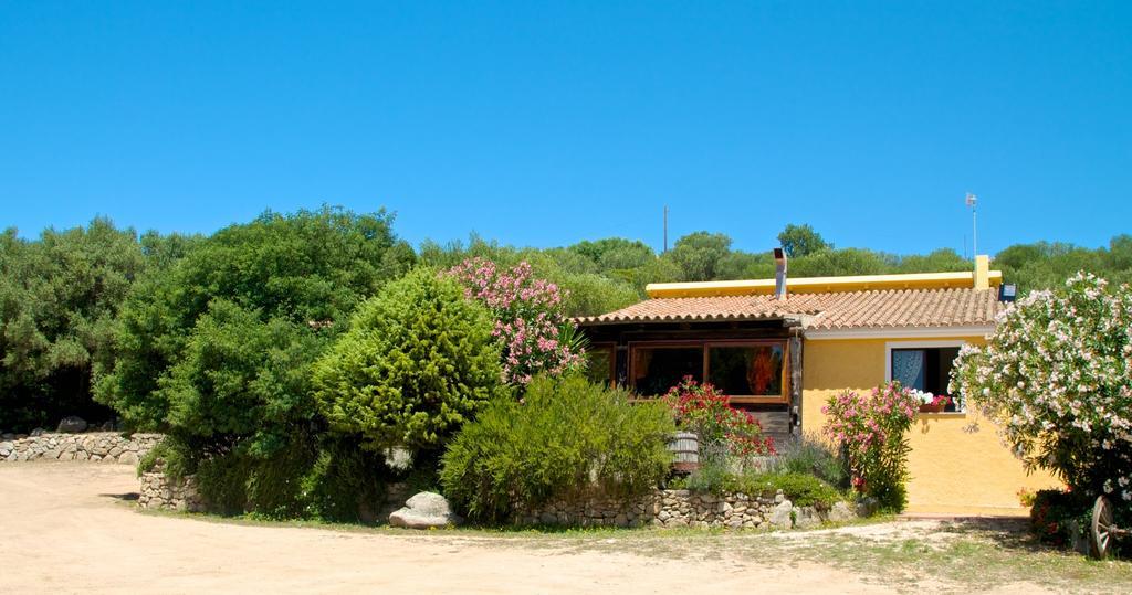 Agriturismo Sardo Villa Campavaglio Kültér fotó