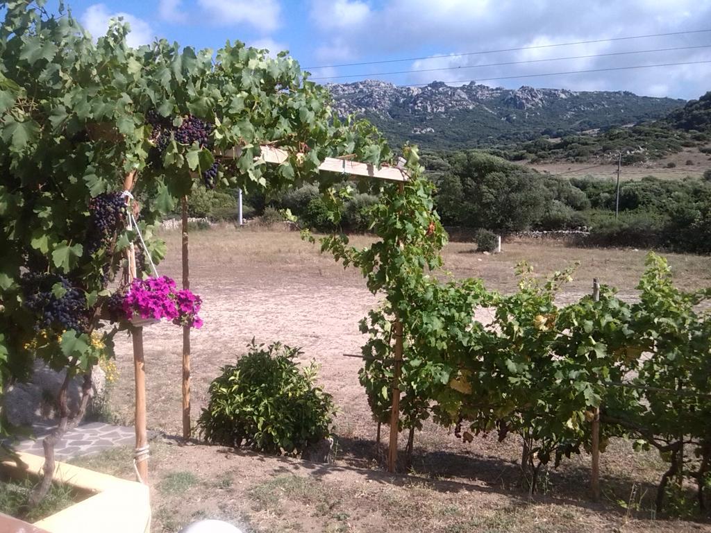 Agriturismo Sardo Villa Campavaglio Kültér fotó