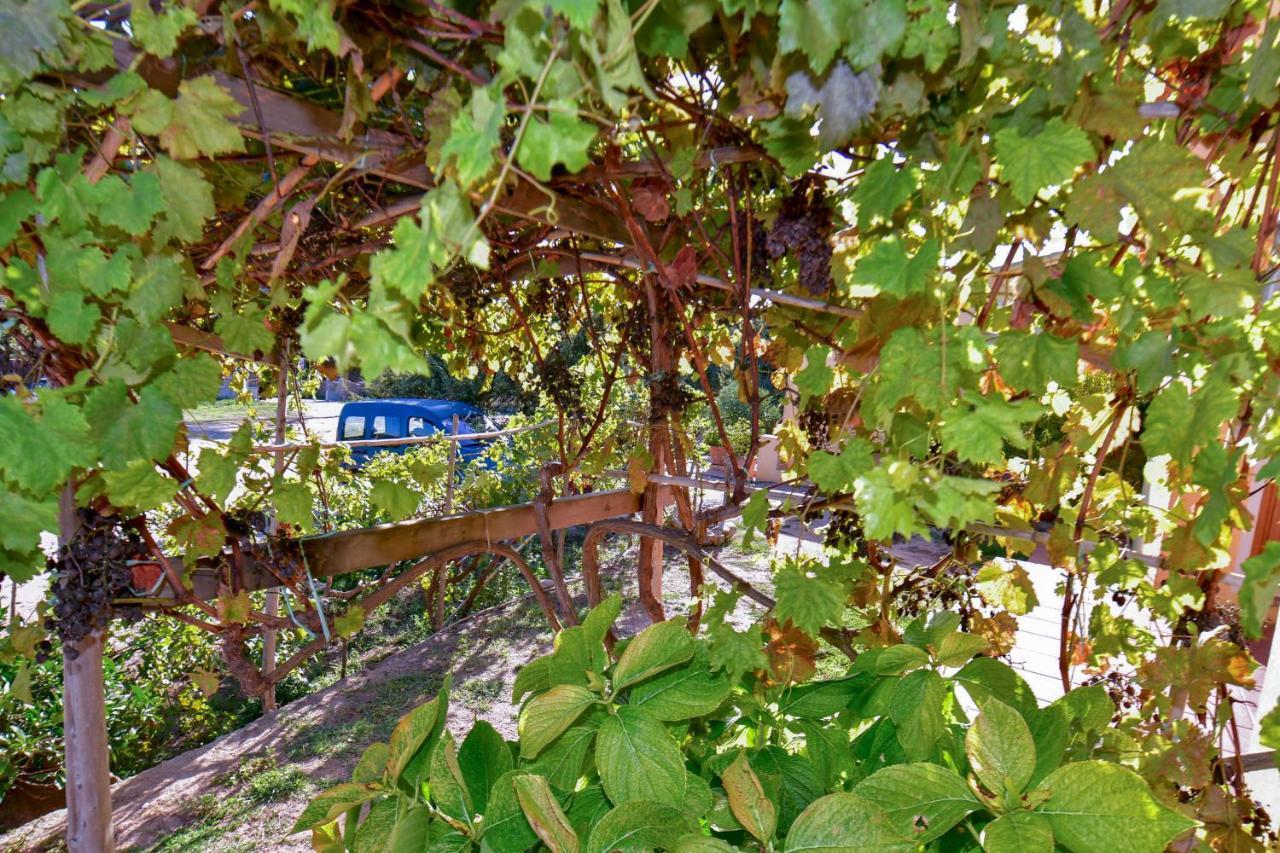 Agriturismo Sardo Villa Campavaglio Kültér fotó