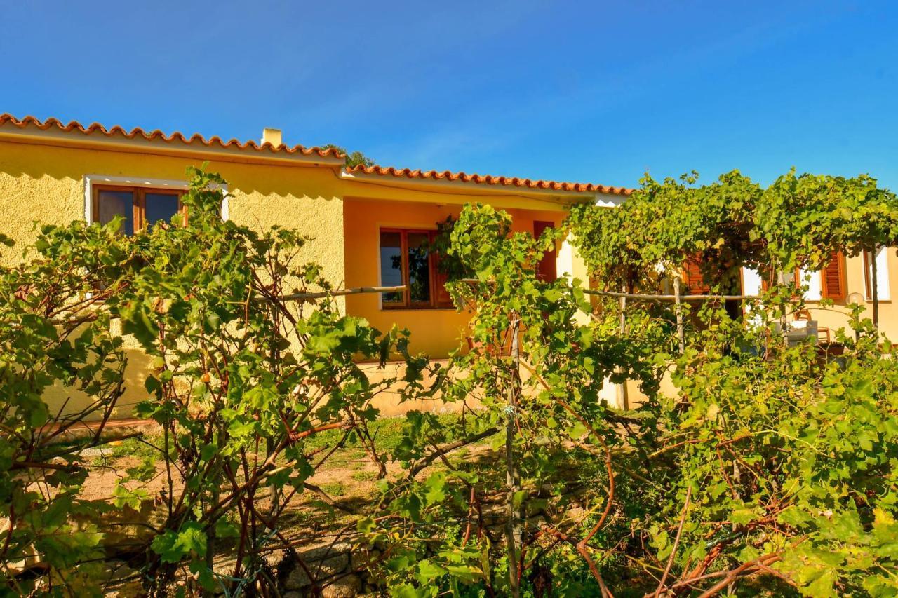 Agriturismo Sardo Villa Campavaglio Kültér fotó